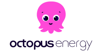 asesor-energetico-particulares-octopus