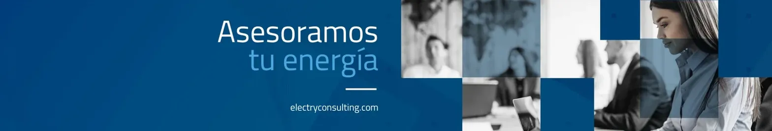 Agendar una visita con ElectryConsulting